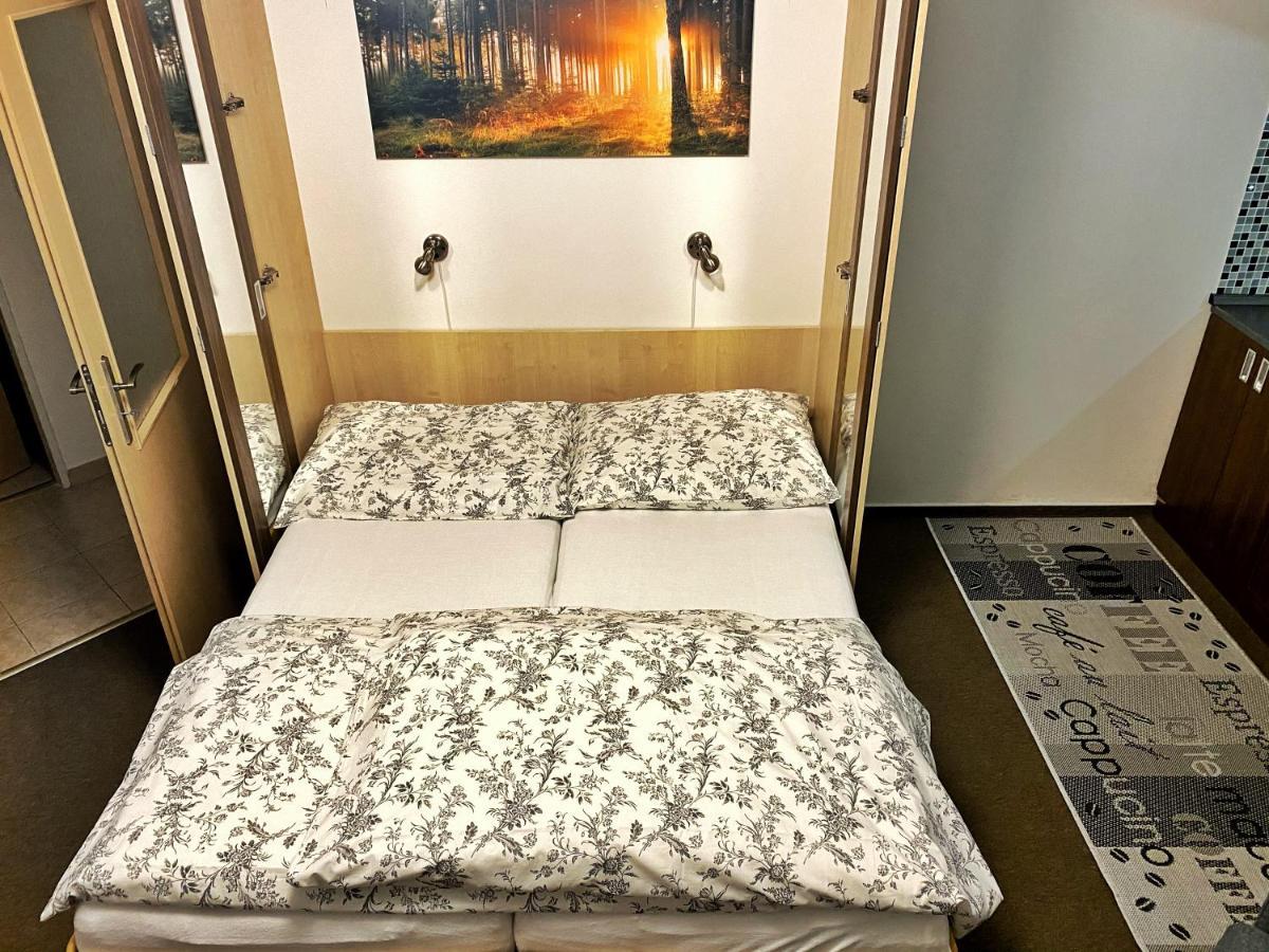 Apartman Modra Hvezda 로끼뜨니쩨나드이제로우 외부 사진