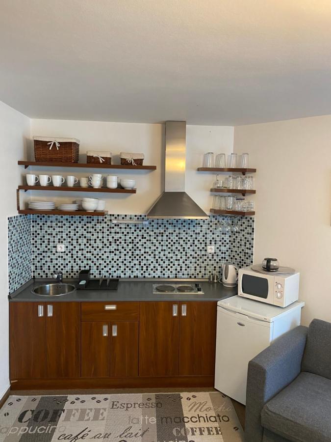 Apartman Modra Hvezda 로끼뜨니쩨나드이제로우 외부 사진