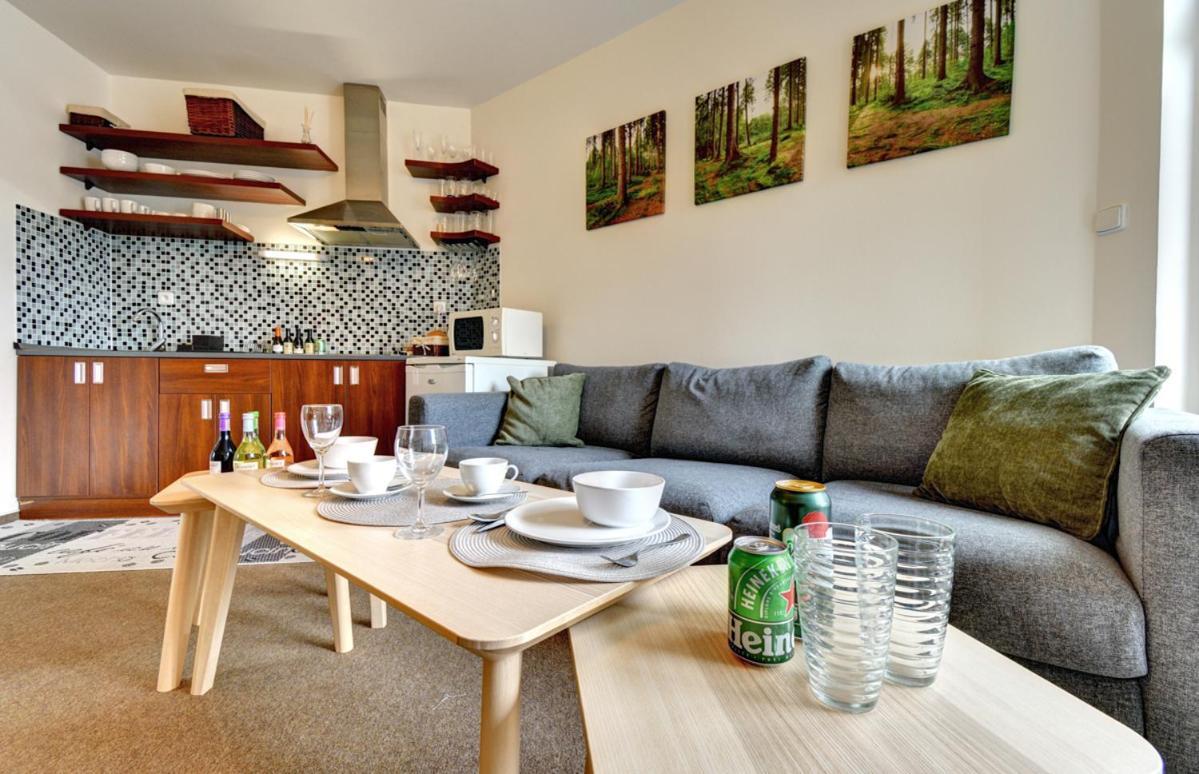 Apartman Modra Hvezda 로끼뜨니쩨나드이제로우 외부 사진