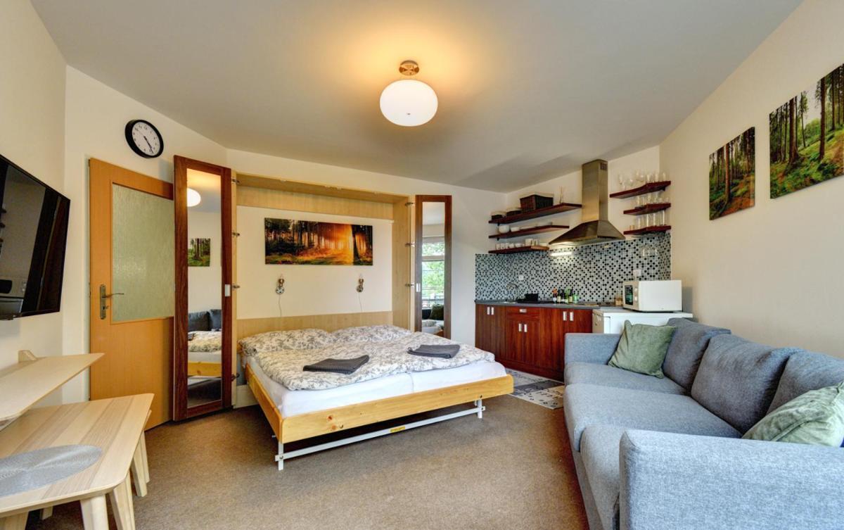 Apartman Modra Hvezda 로끼뜨니쩨나드이제로우 외부 사진
