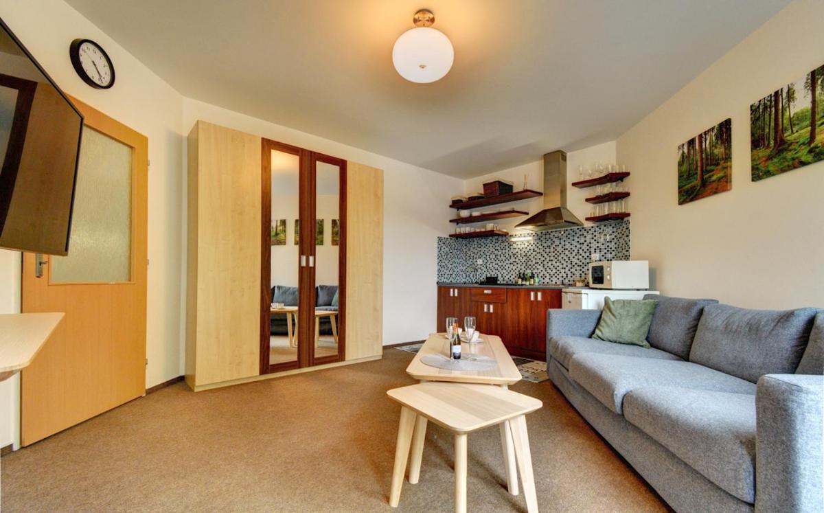 Apartman Modra Hvezda 로끼뜨니쩨나드이제로우 외부 사진